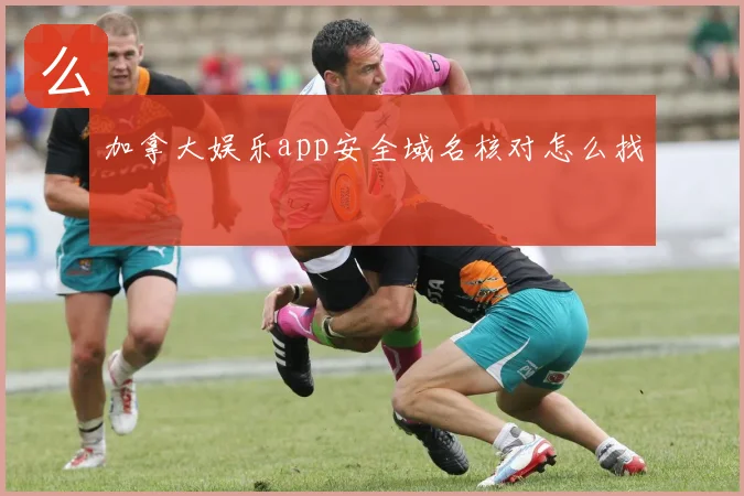 加拿大娱乐app安全域名核对怎么找