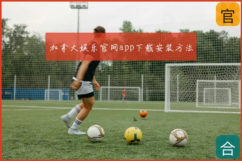 加拿大娱乐官网app下载安装方法